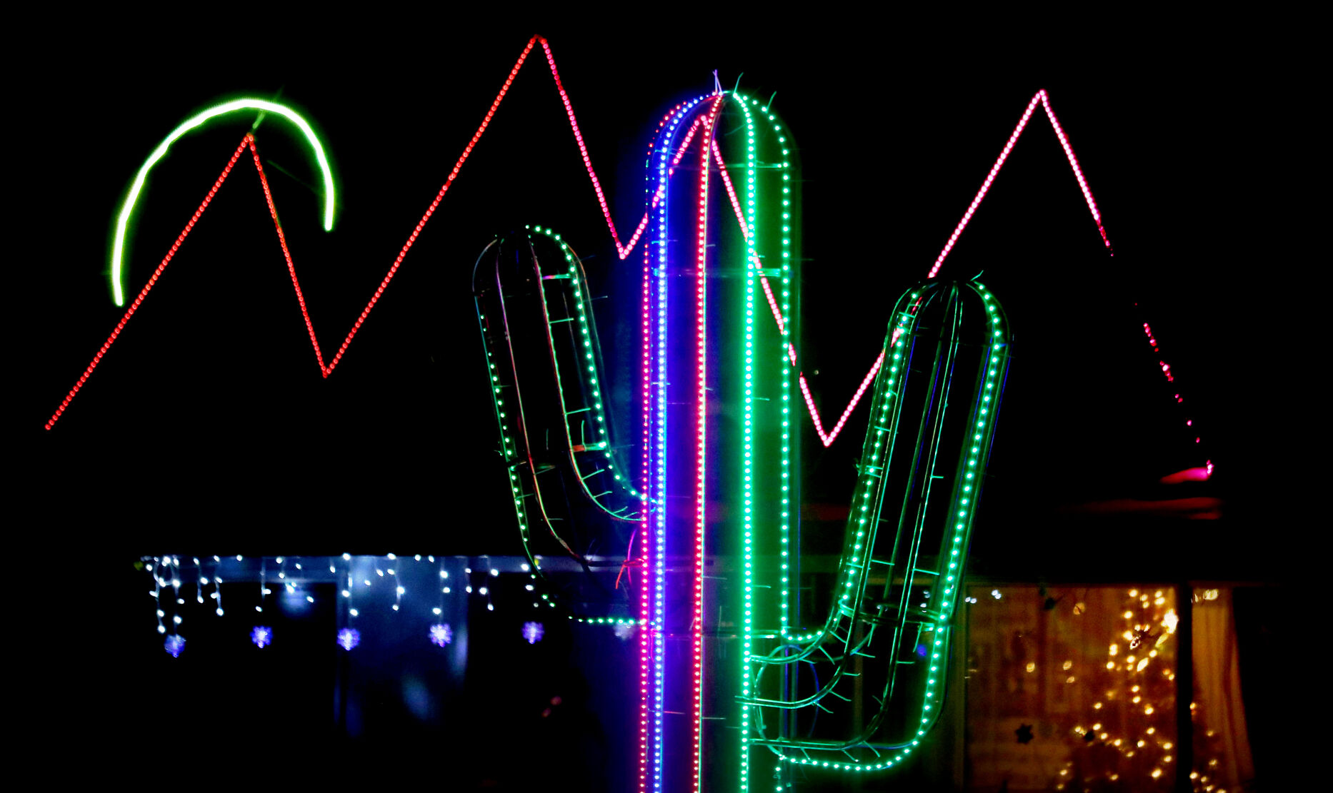Winterhaven Festival of Lights (le)